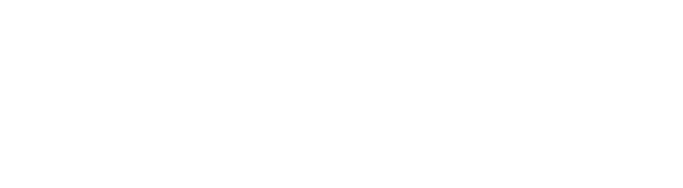Logo in white one row
